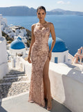 Champagne Maxi Dress